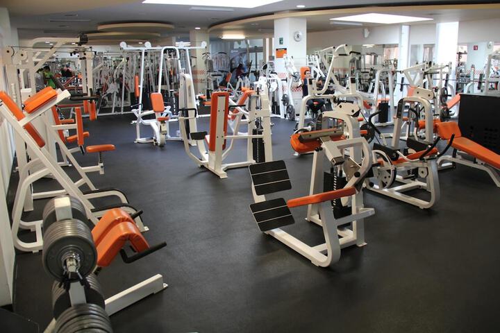 Gym & Fitness