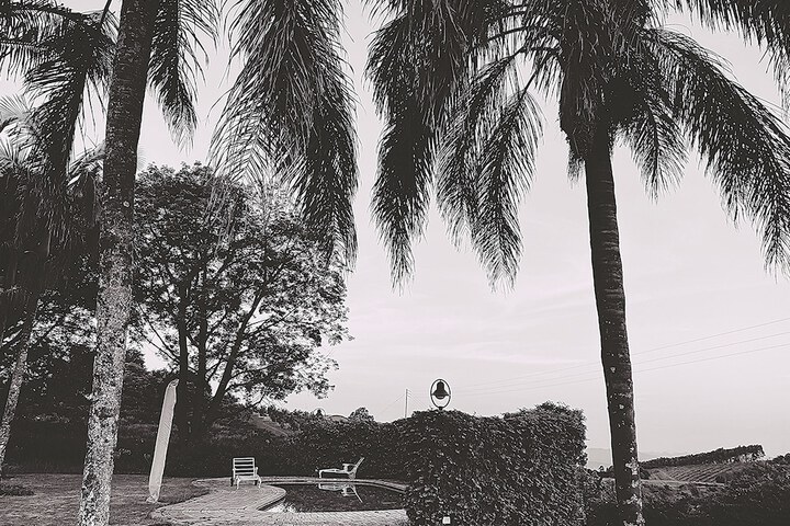Hotel 48 of 61