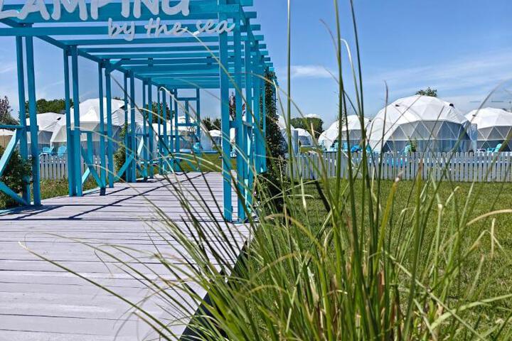 General 75 of 85