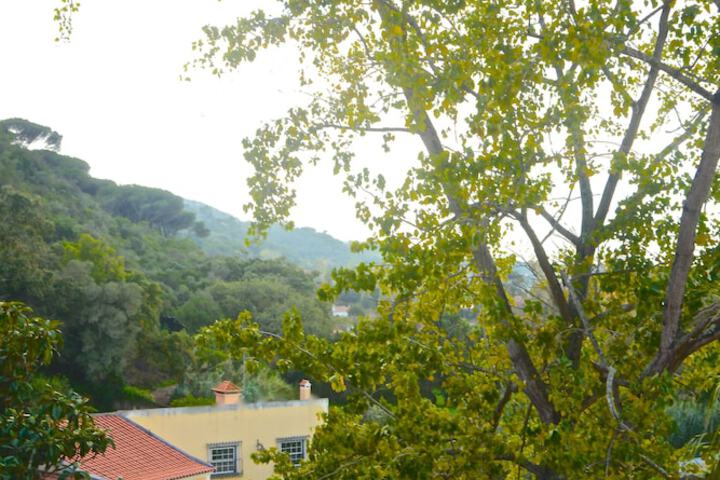 Hotel View 46 of 47