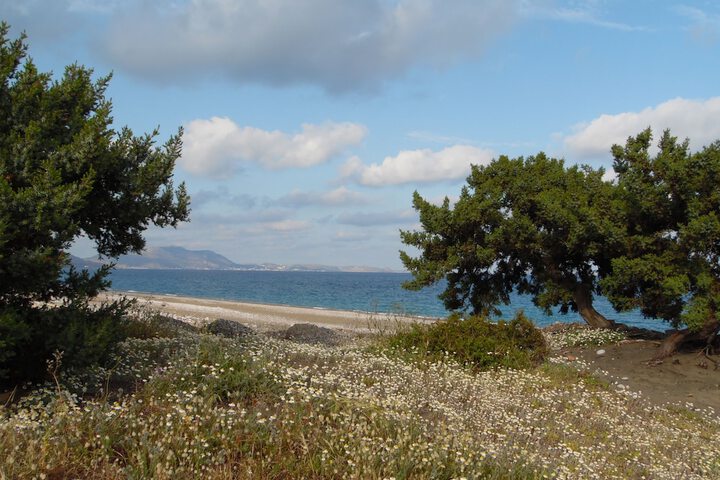 Beach 64 of 84