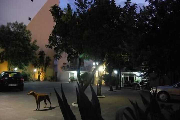 Property Grounds 36 of 42