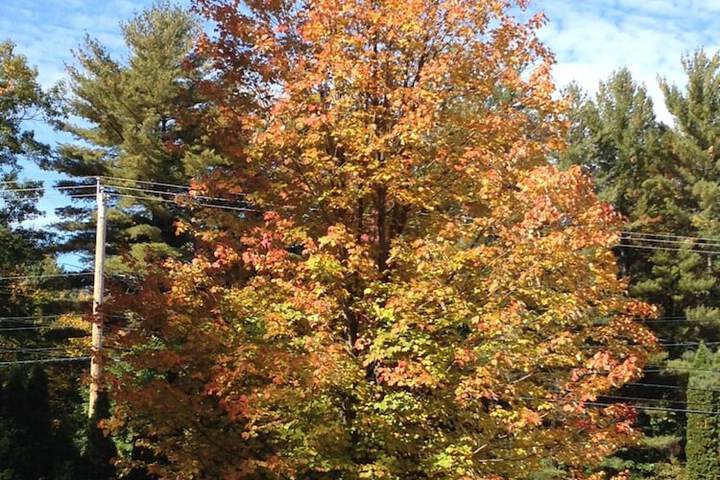 Property Grounds 28 of 37