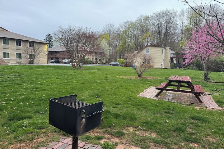 BBQ/picnic area