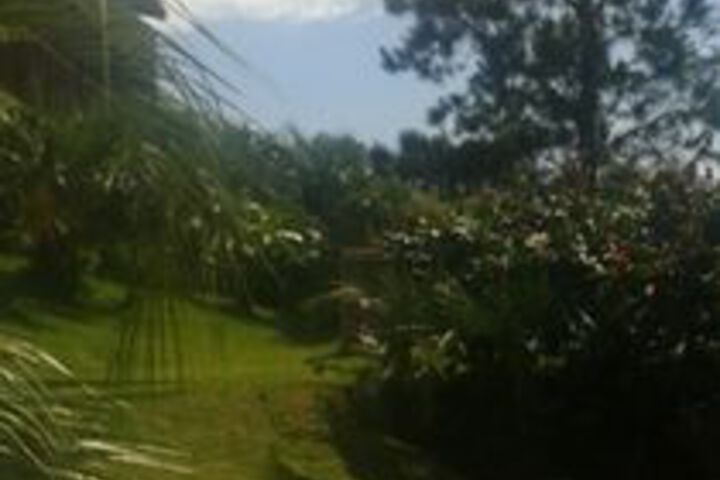 Property Grounds 75 of 75