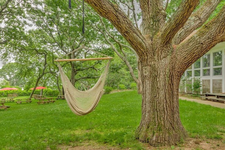 Property Grounds 20 of 30