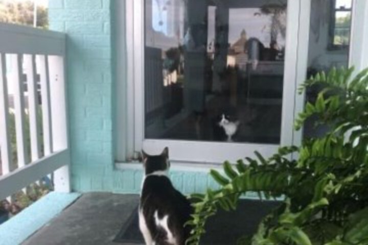 Hotel Interior 8 of 113