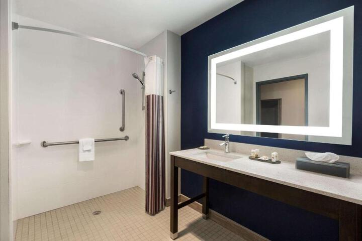 1 King Bed Mobility Accessible (7 of 23)