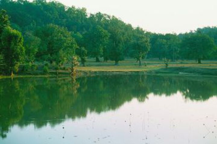 Property Grounds 19 of 29
