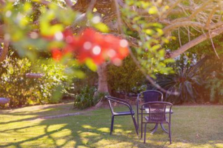 Property Grounds 82 of 99