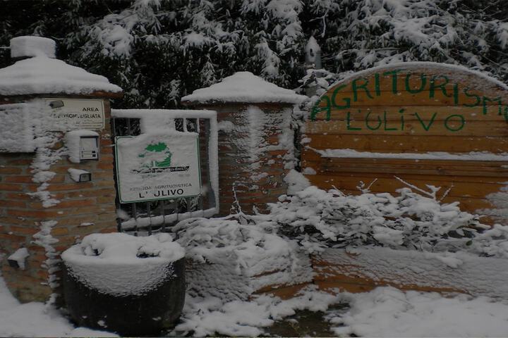 Hotel Entry