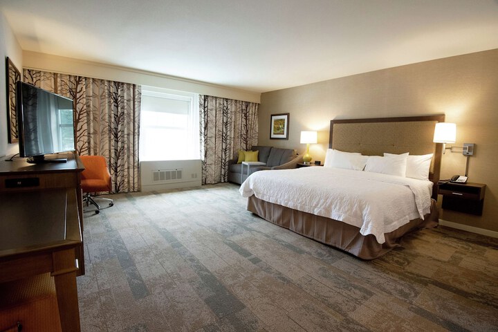 1 King Hearing Accessible with Sofa Bed (9 of 23)