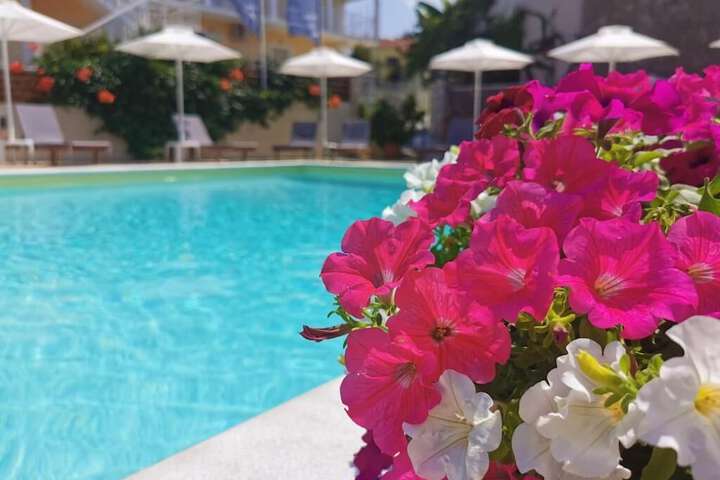 Pool 22 of 59