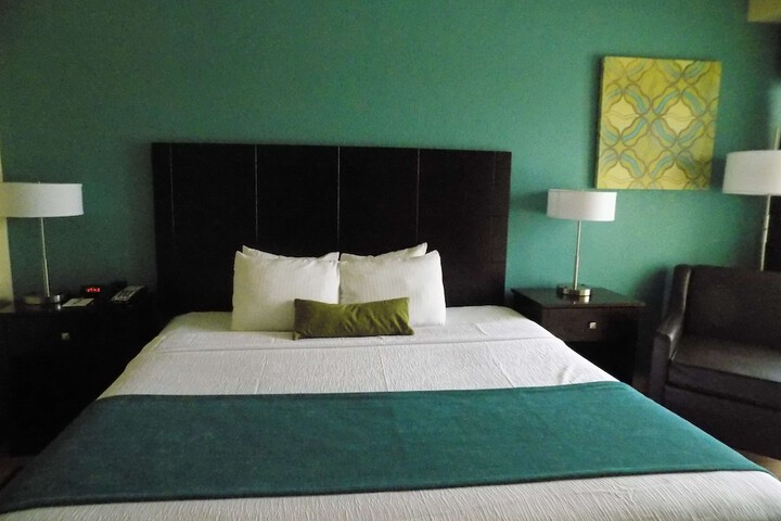 Suite 1 King Bed Mobility Accessible Roll in Shower Sofa Bed Full Breakfast (1 of 23)