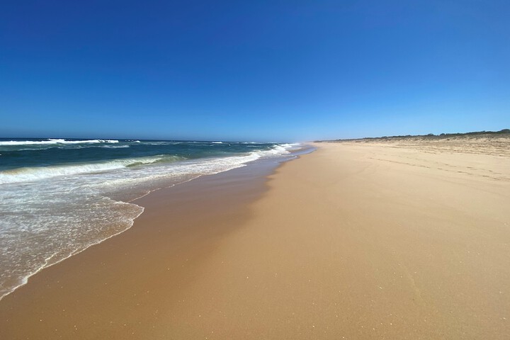Beach 116 of 134