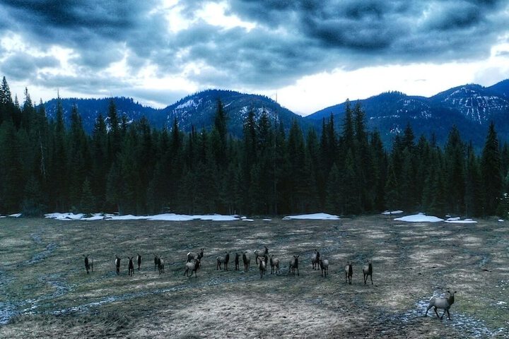 Hotel View 258 of 292