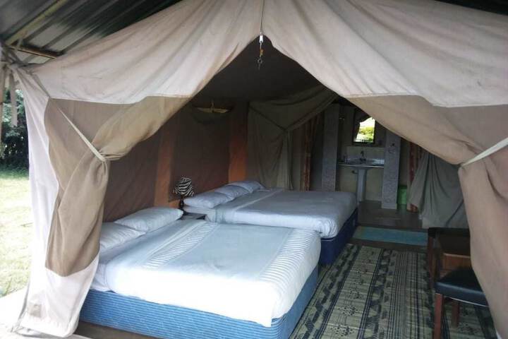 Room 8 of 53