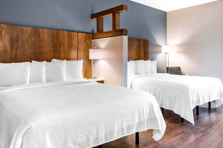 Standard Studio 1 Queen Bed (12 of 26)