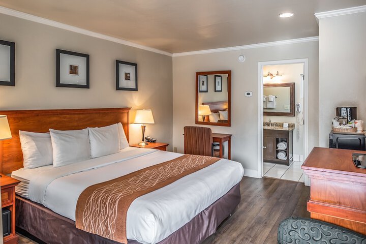 1 King Bed (2 of 14)