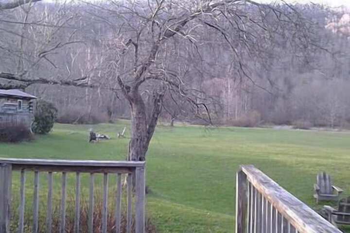 Terrace/Patio 48 of 84