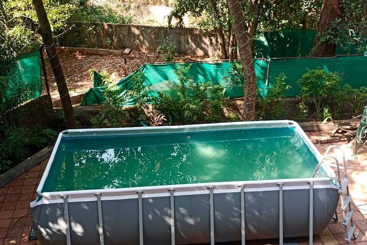 Pool 19 of 33
