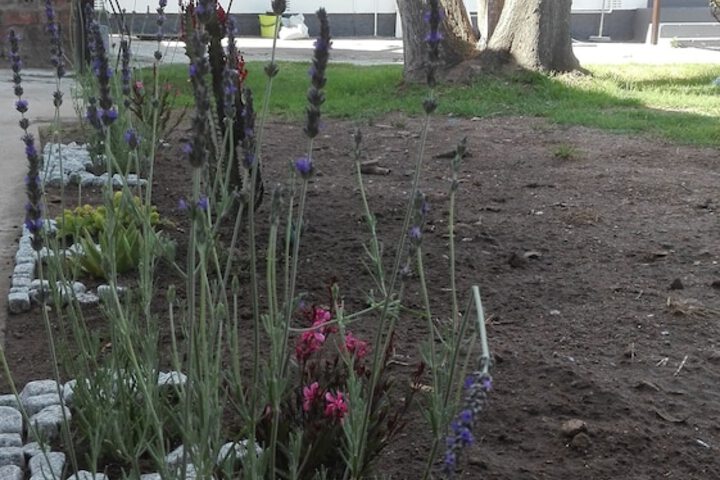 Hotel Exterior 1 of 39