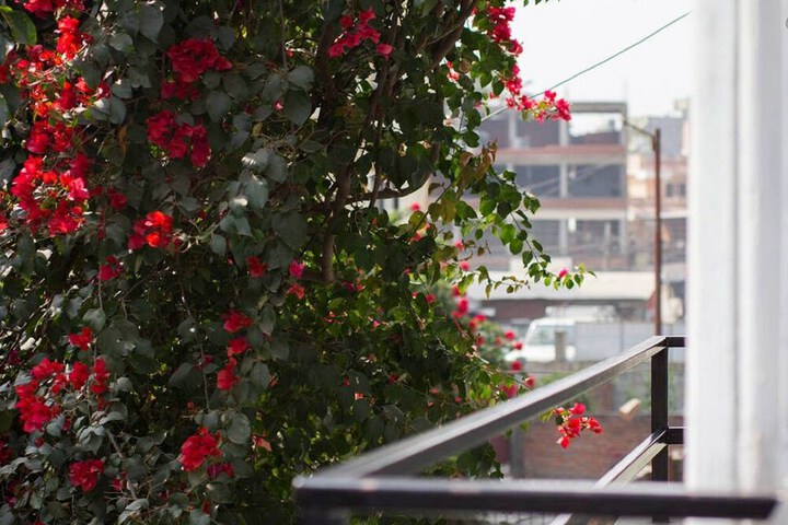 Terrace/Patio 65 of 68