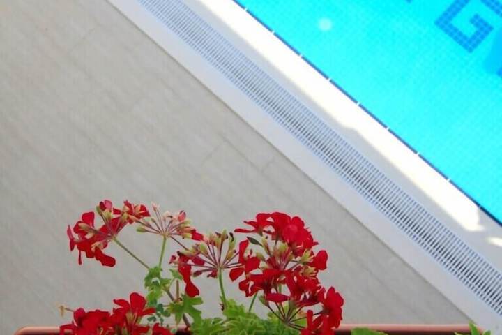 Hotel Pool