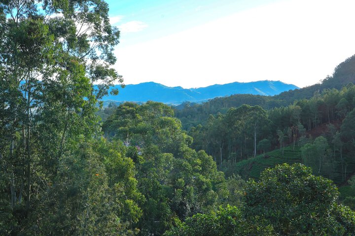 Hotel View 109 of 116