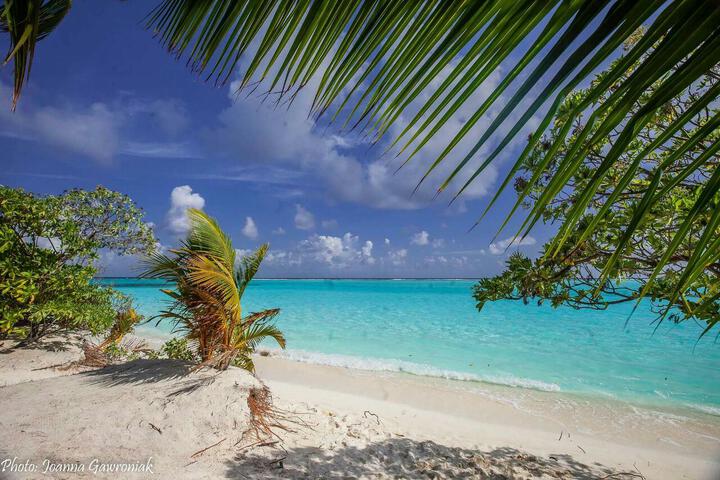 Thoddoo beach view Maldives