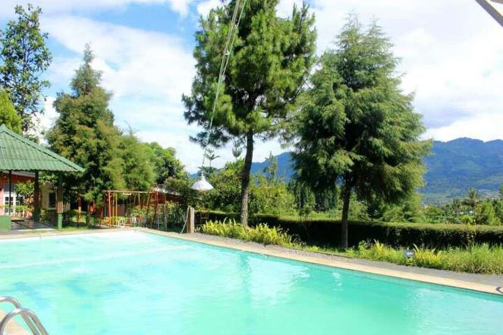 Pool 5 of 6
