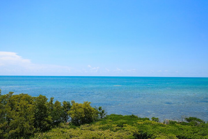 Water view