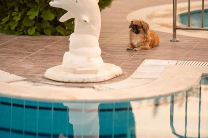 Hotel with Pool