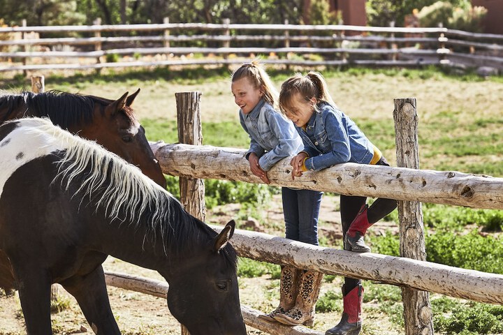 Horseback riding