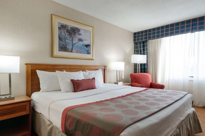 1 King Bed (1 of 2)