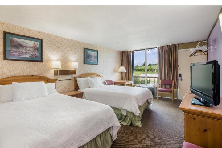 2 Double Beds (1 of 2)
