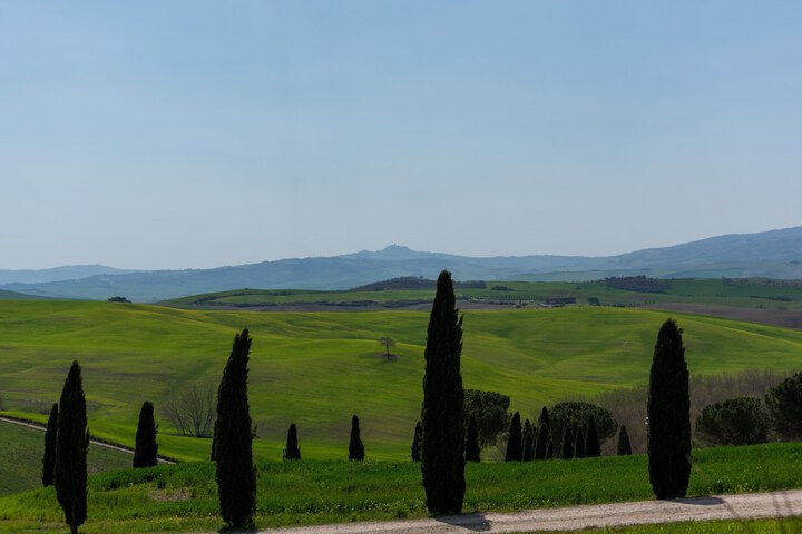 View from room