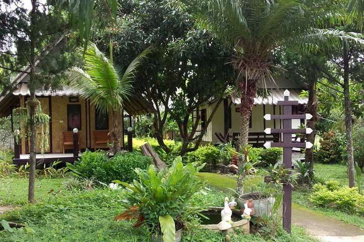 Banana House Pai