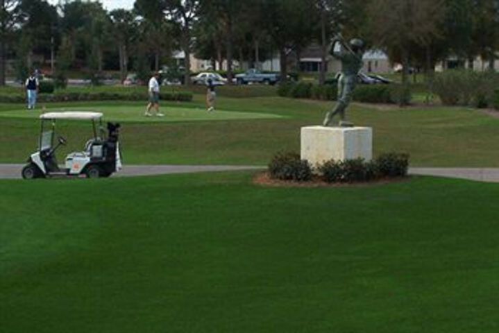 Golf 8 of 34