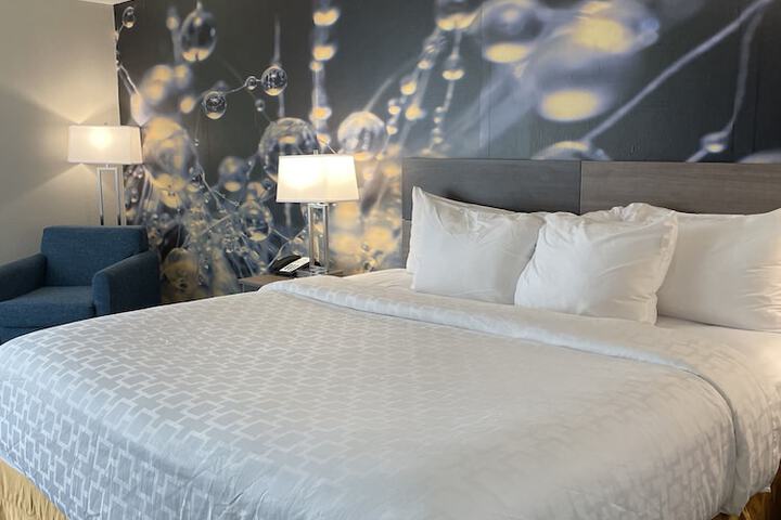 1 King Bed Accessible (2 of 17)