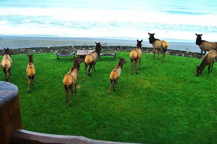 Property Grounds 30 of 43