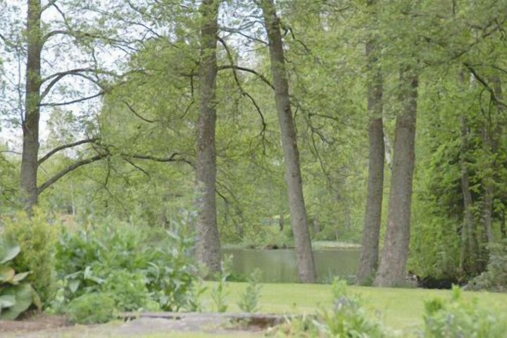 Property Grounds 18 of 31