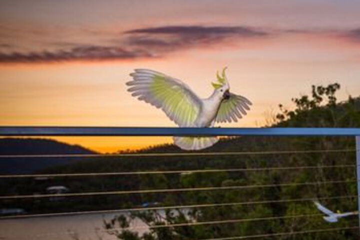 Terrace/Patio 3 of 38