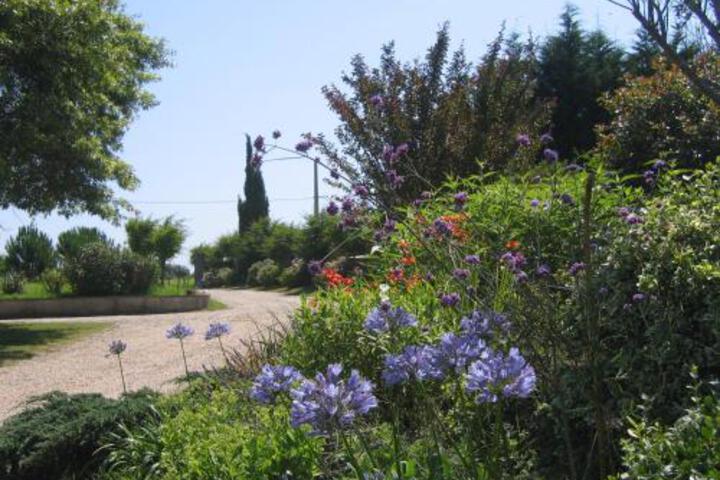 Spa and Wellness Pictures