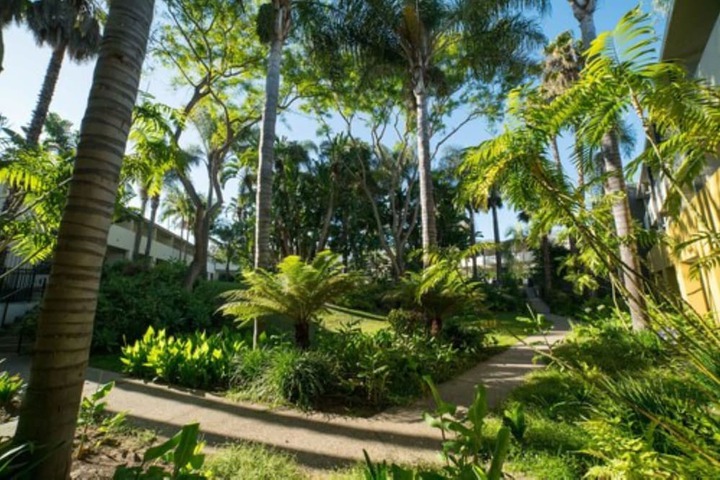Outdoor wedding area