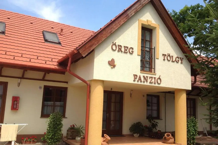 Oregtolgy Panzio