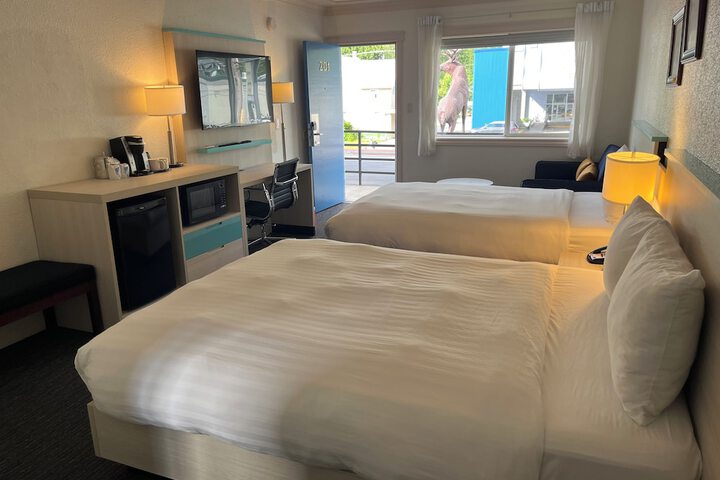 Room 6 of 67