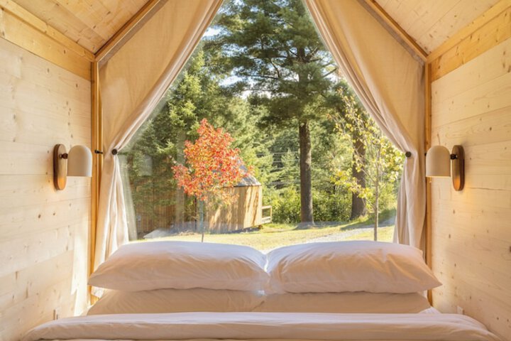 1 King Bed (3 of 65)