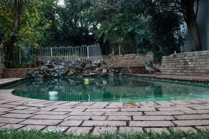 Pool 12 of 14