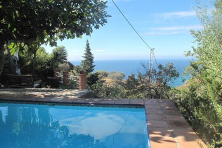 Pool 8 of 31